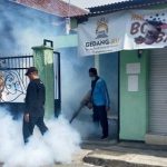 Pemdes Randupitu Gerak Cepat Fogging untuk Cegah Penyebaran DBD Pemdes Randupitu Gerak Cepat Fogging untuk Cegah Penyebaran DBD