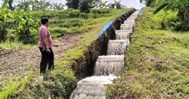 Potensi Wisata Desa Randupitu: Kedung Prenteng, Saluran Air Sekunder Bertingkat Peninggalan Belanda